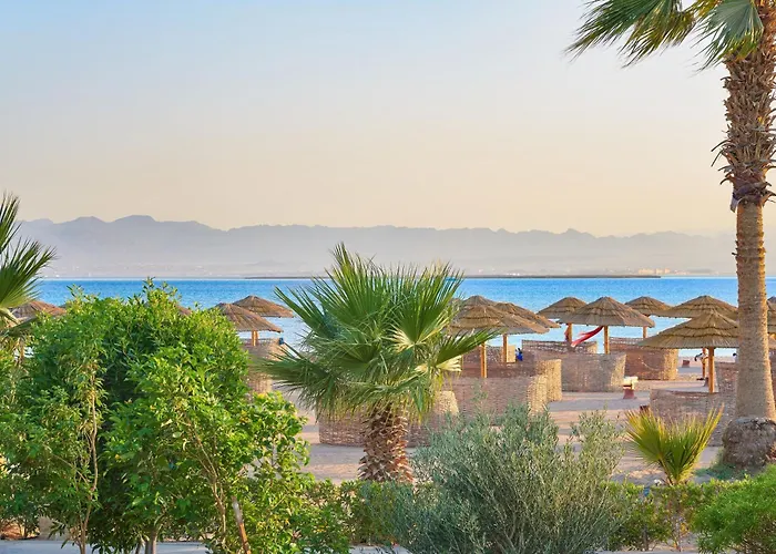 Sheraton Soma Bay Resort